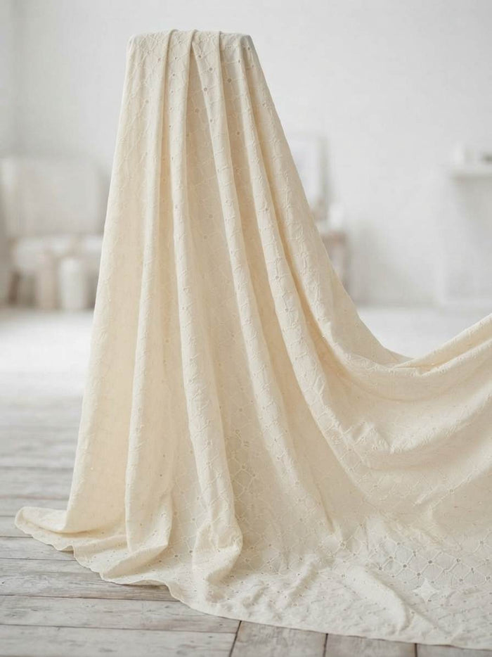 Premium Off-White Cotton Schiffli Embroidered Fabric 2 (Dyeable)