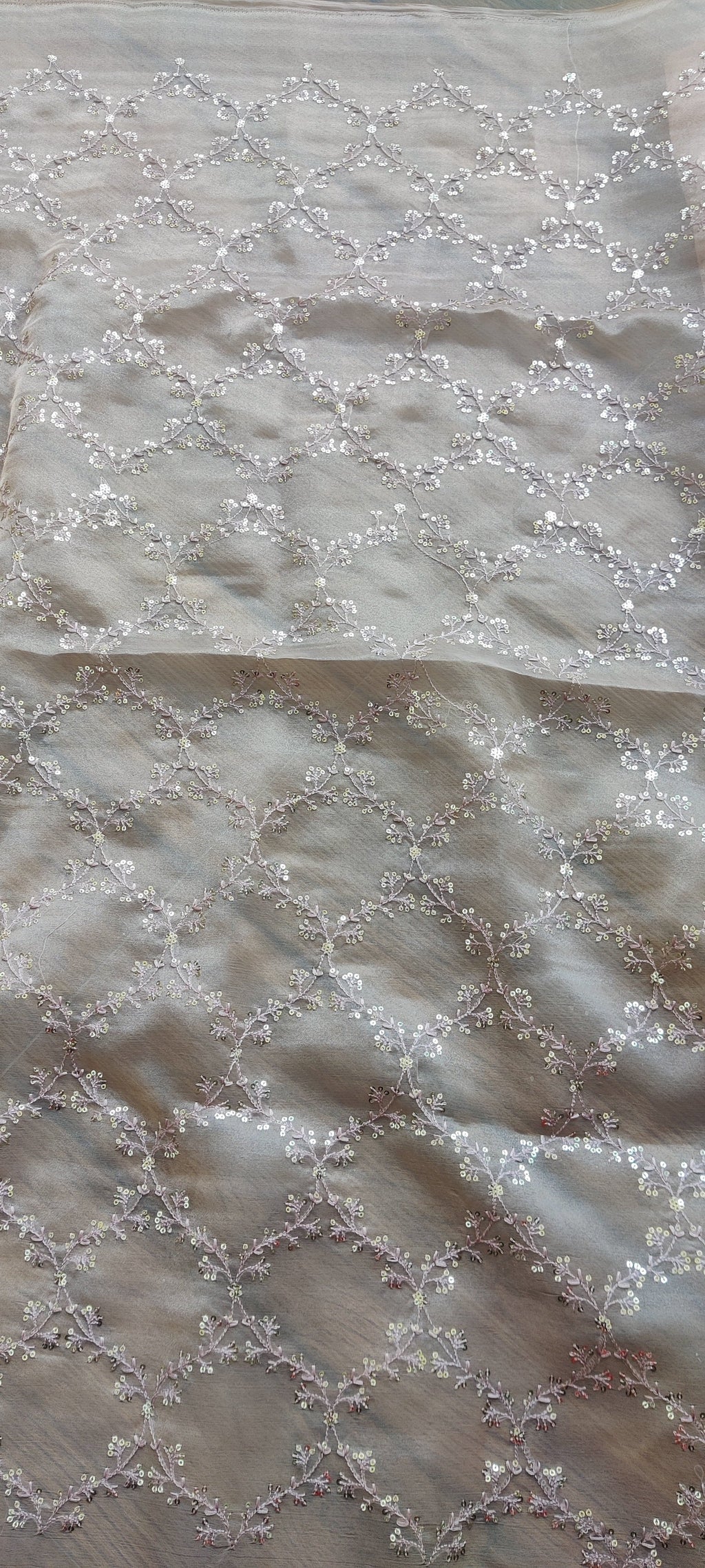 Dori Work Jaal Embroidered Georgette