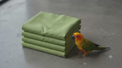 Parrot Green Chanderi Silk Fabric