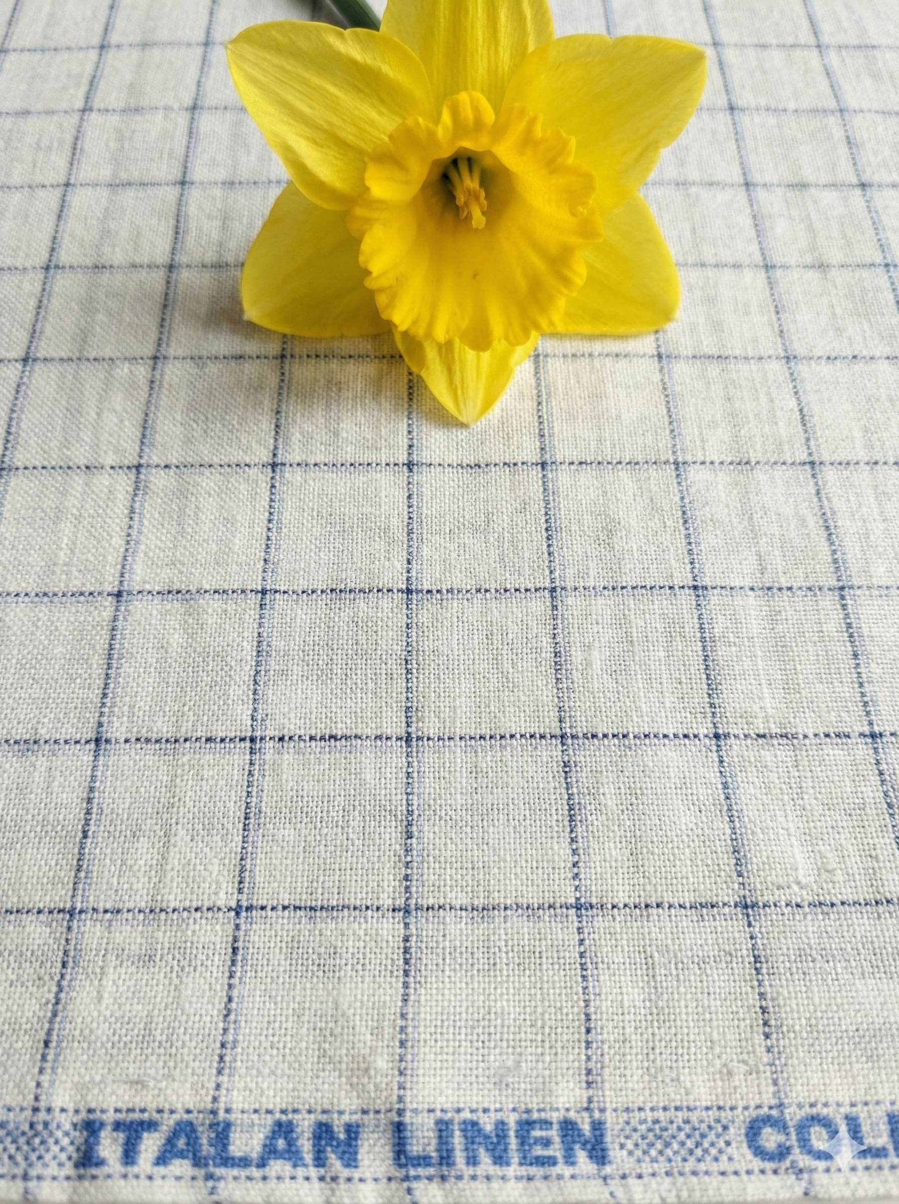 Off white Cotton Linen Fabric with Blue & Black Checks (60 lea)